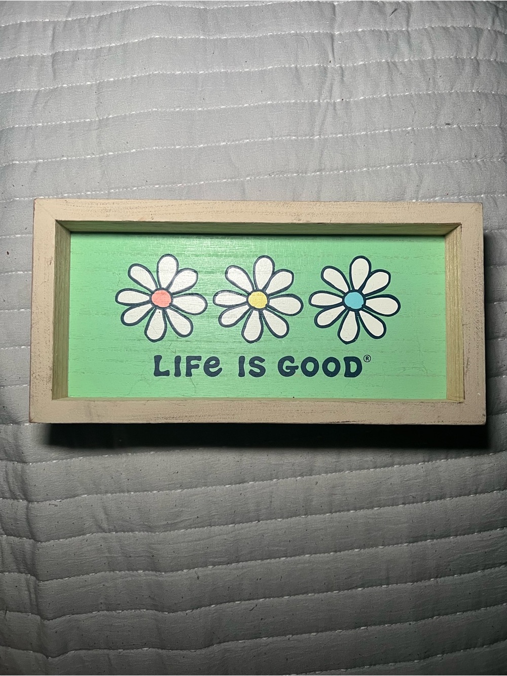 Life Is Good Mint Green Daisy Wall Plaque with Pastel Centers